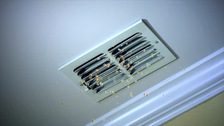 Best HVAC Air Duct Cleaning  in Leesville, LA