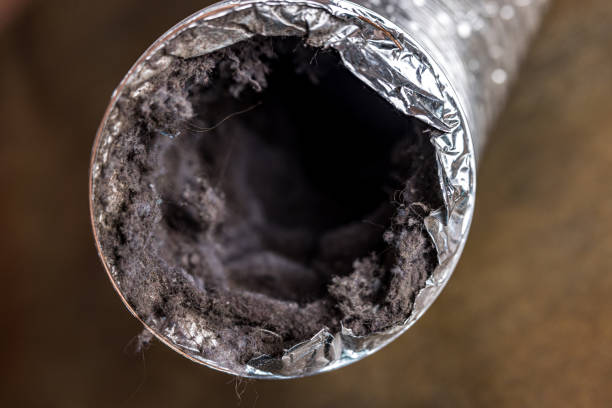 Best Best Air Duct Cleaning Company  in Leesville, LA